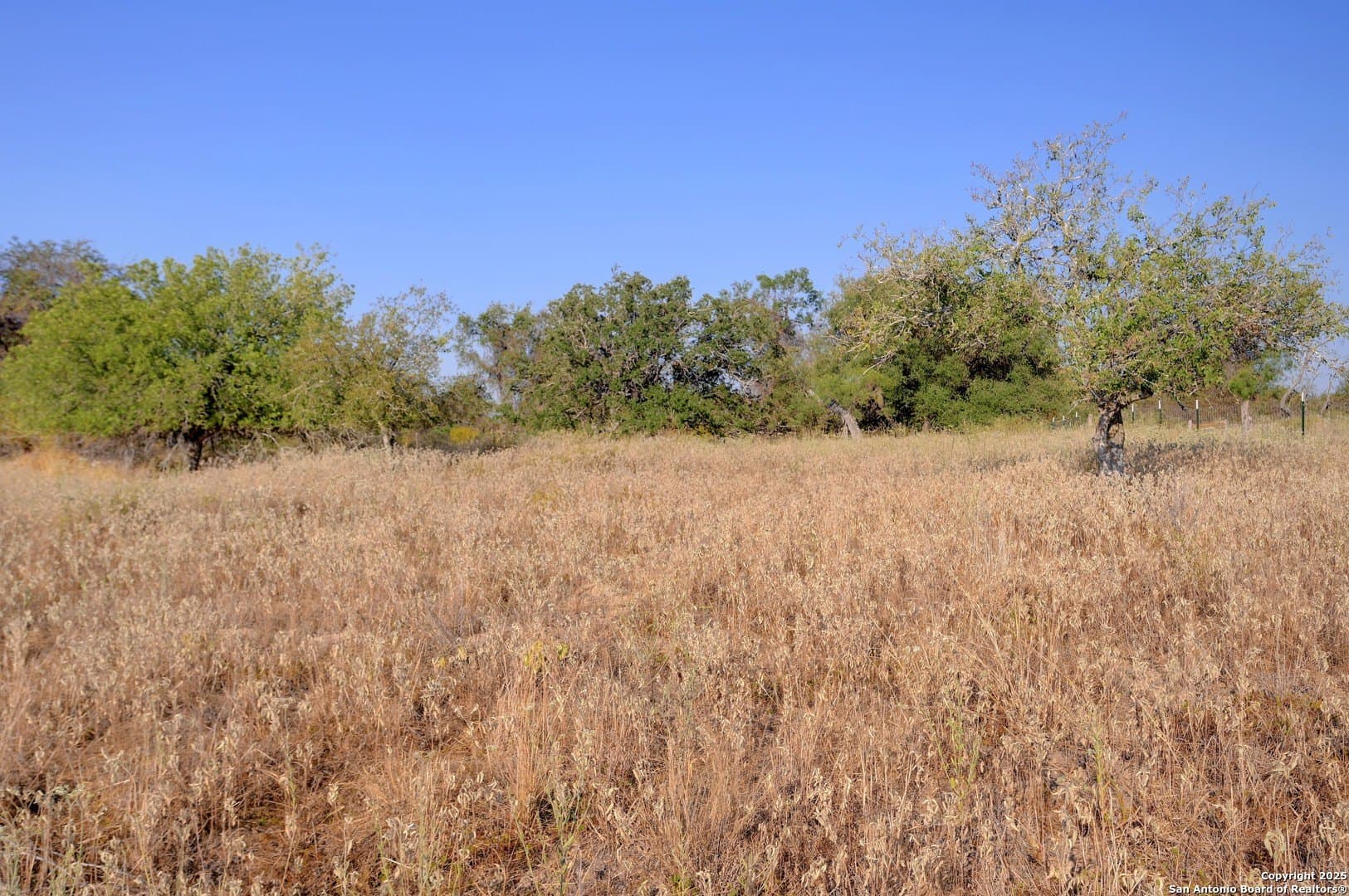 14.64 acres in Atascosa County - photo 11
