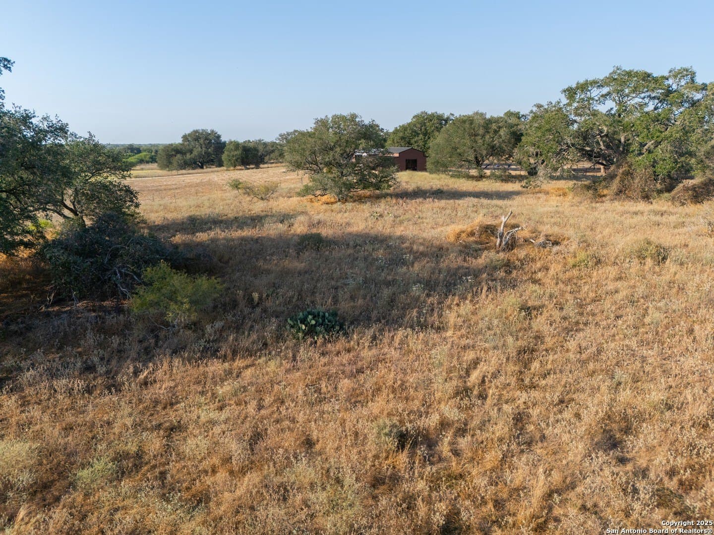 14.64 acres in Atascosa County - photo 45