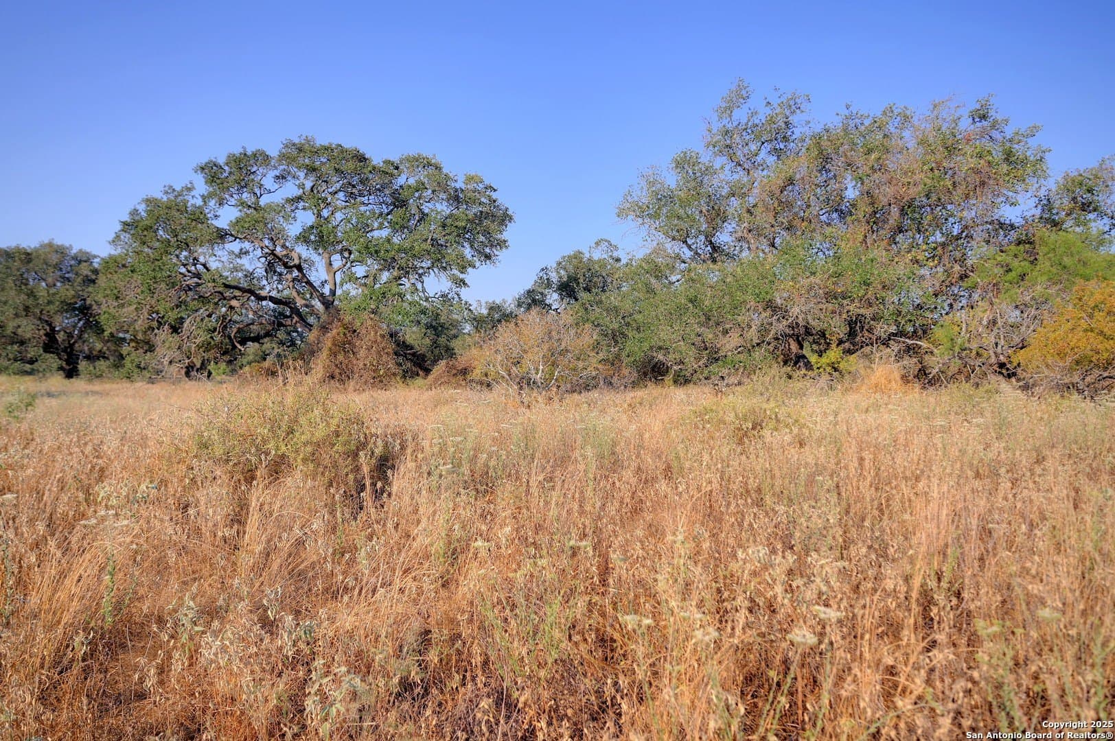 14.64 acres in Atascosa County - photo 9