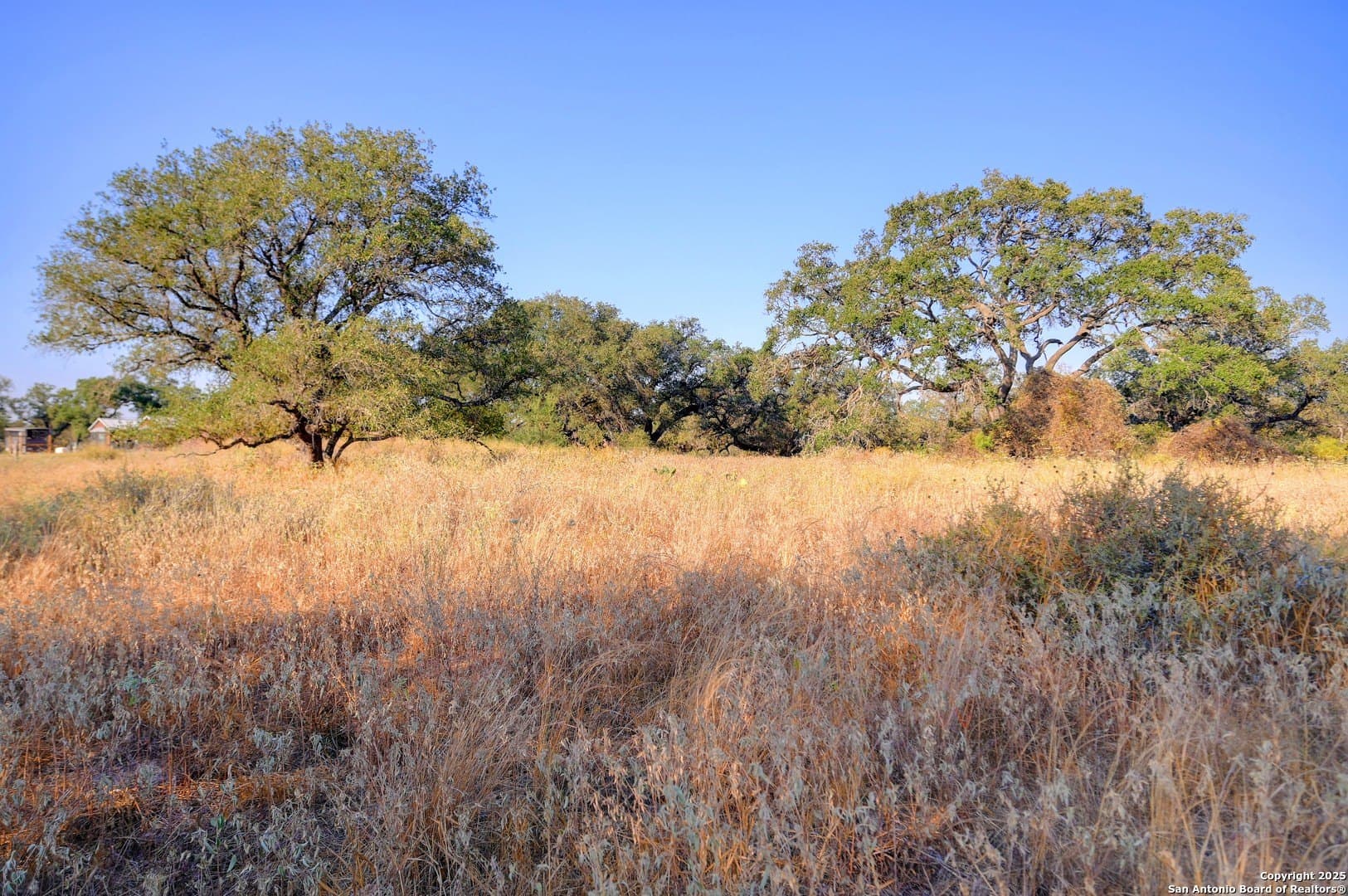 14.64 acres in Atascosa County - photo 7