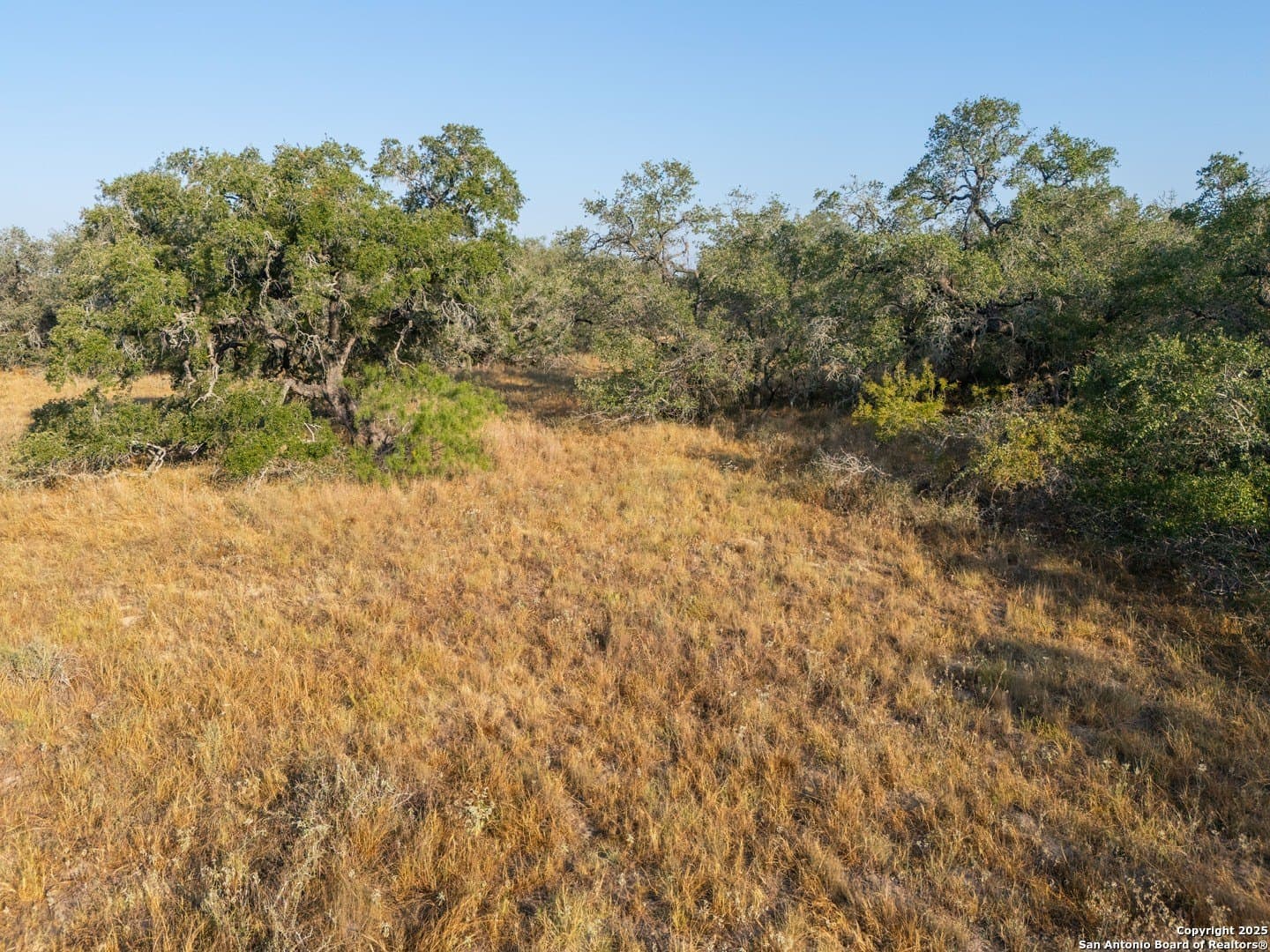 14.64 acres in Atascosa County - photo 42