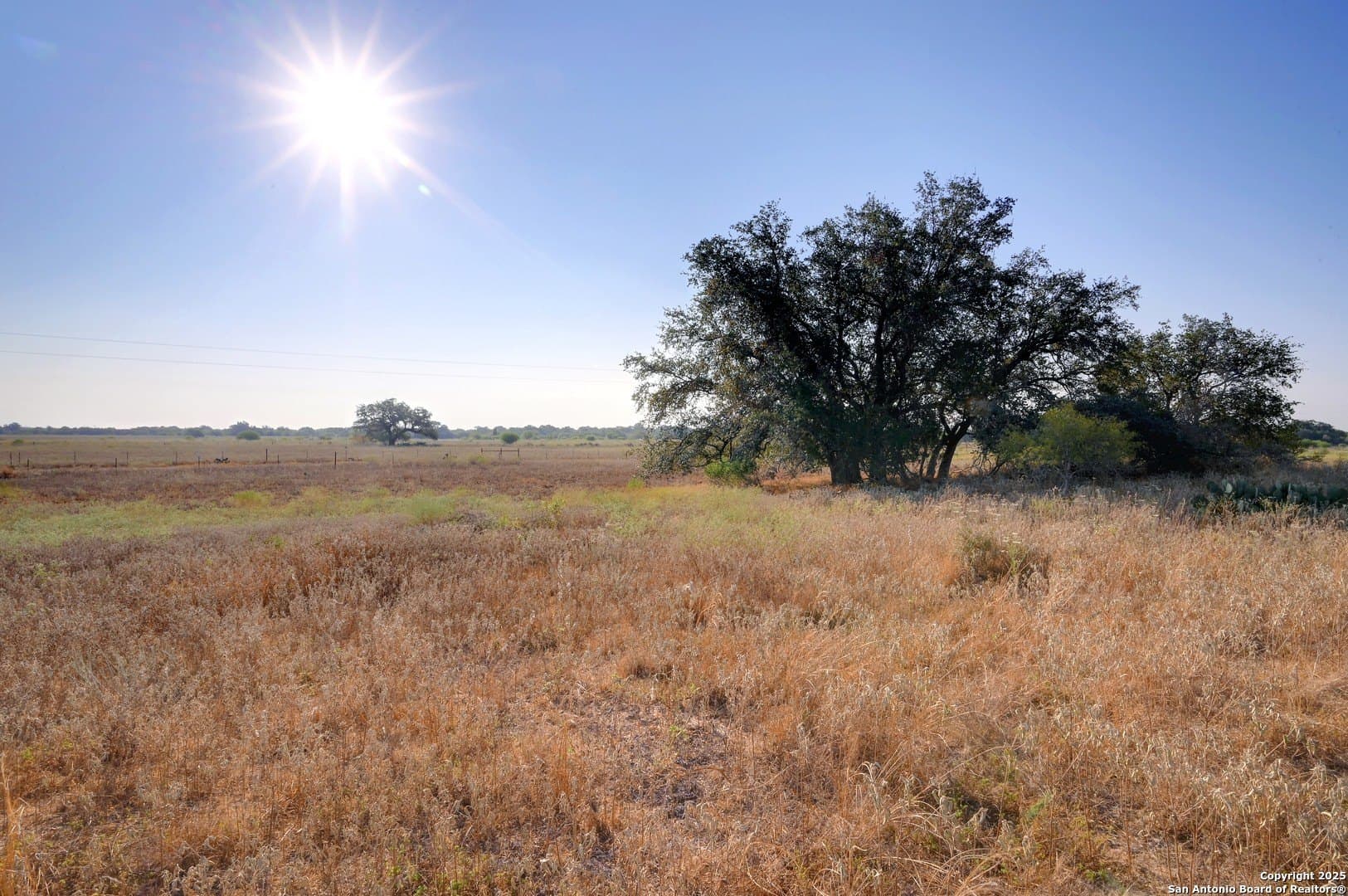 14.64 acres in Atascosa County - photo 10