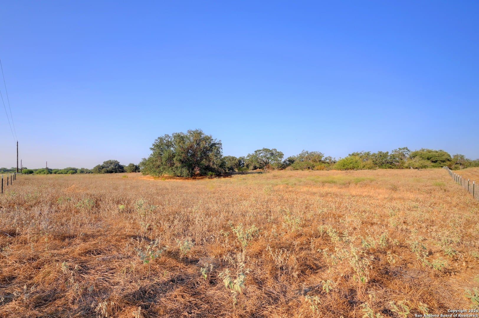 14.64 acres in Atascosa County - photo 2