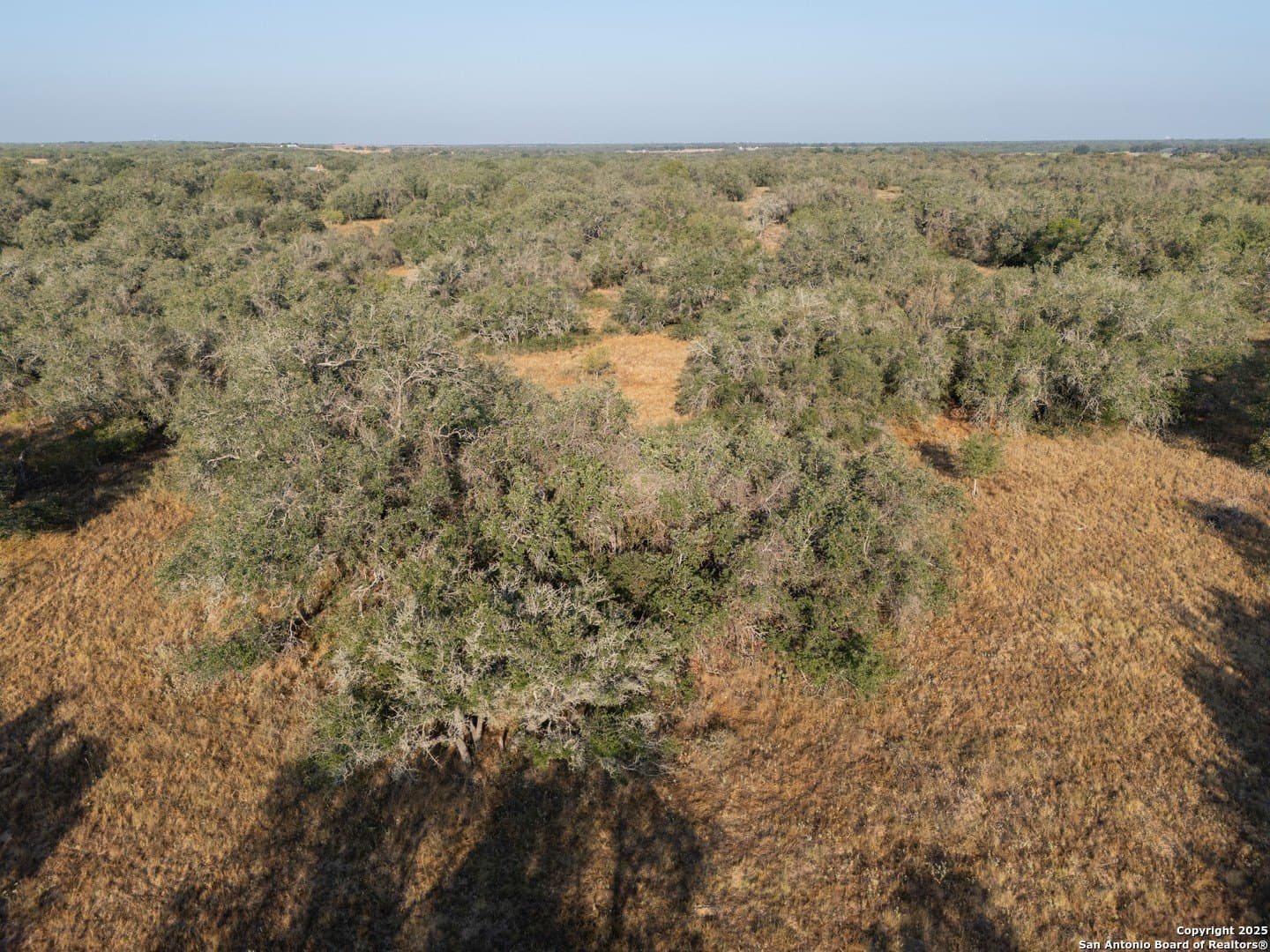 14.64 acres in Atascosa County - photo 28