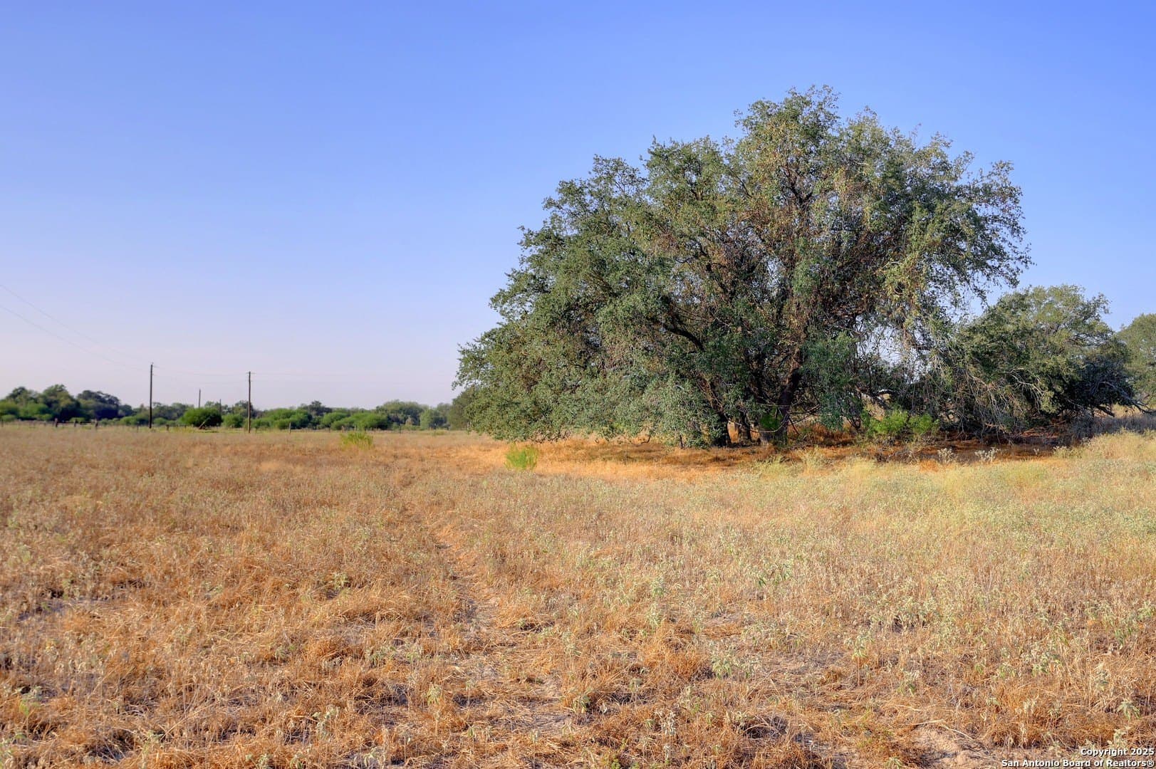 14.64 acres in Atascosa County - photo 3