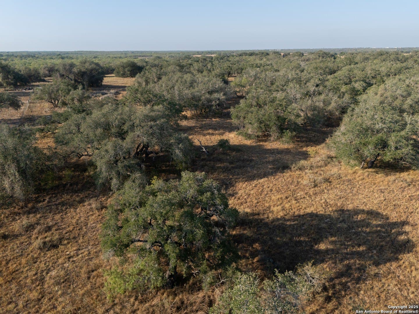 14.64 acres in Atascosa County - photo 29
