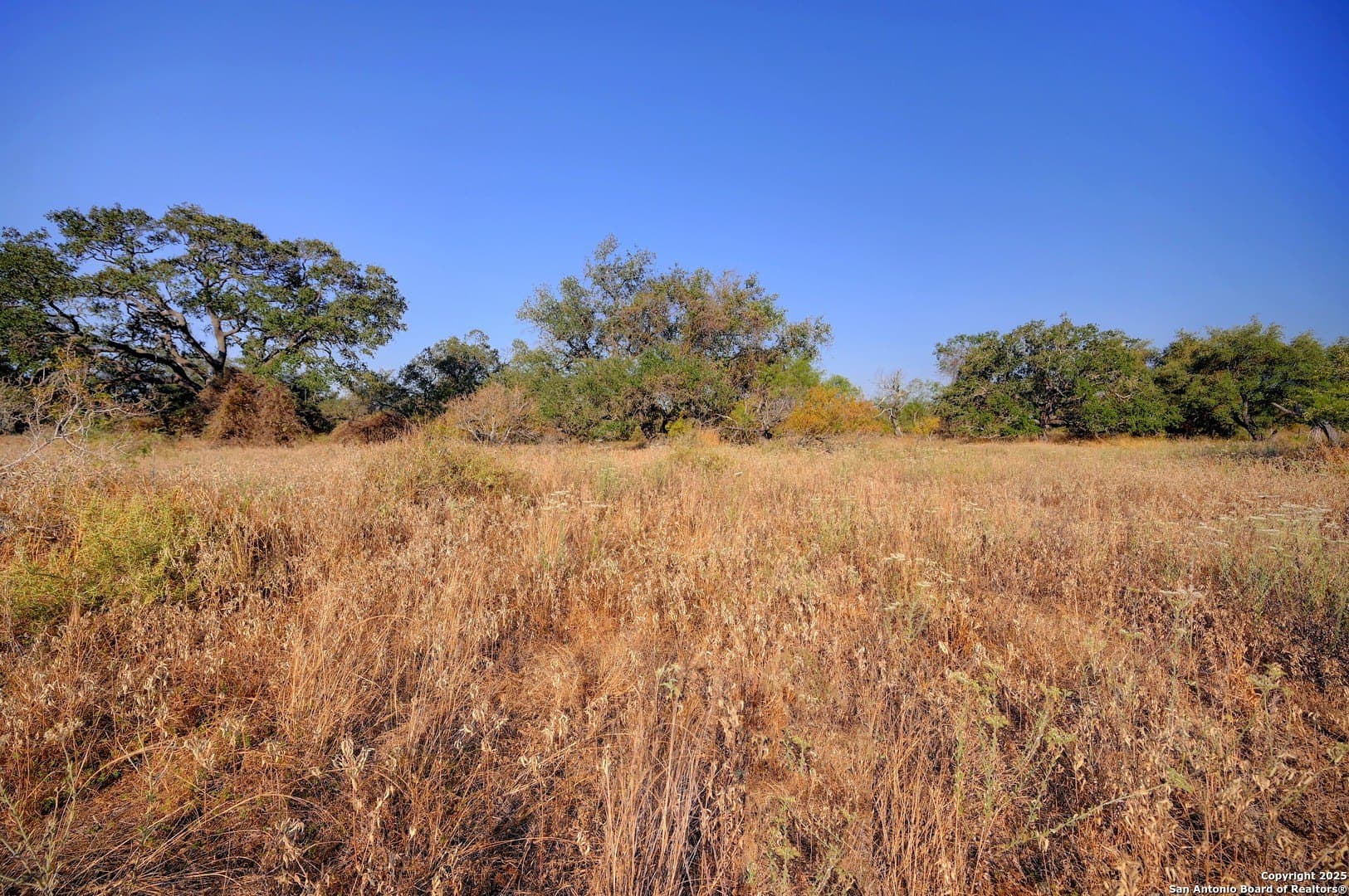 14.64 acres in Atascosa County - photo 8