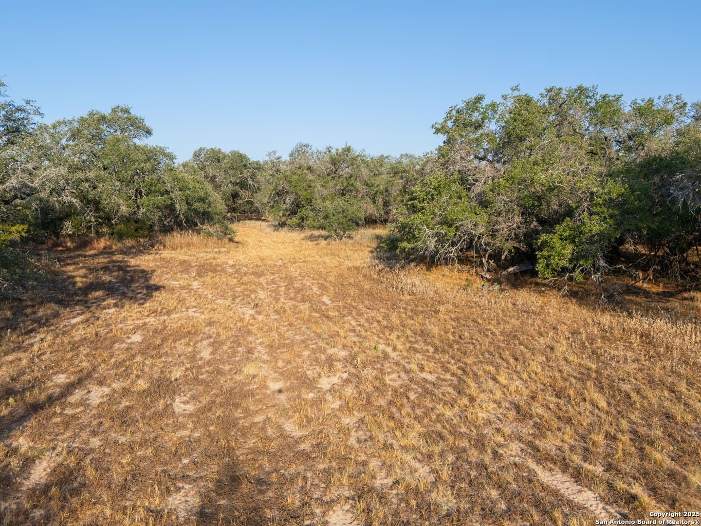 14.64 acres in Atascosa County - photo 40