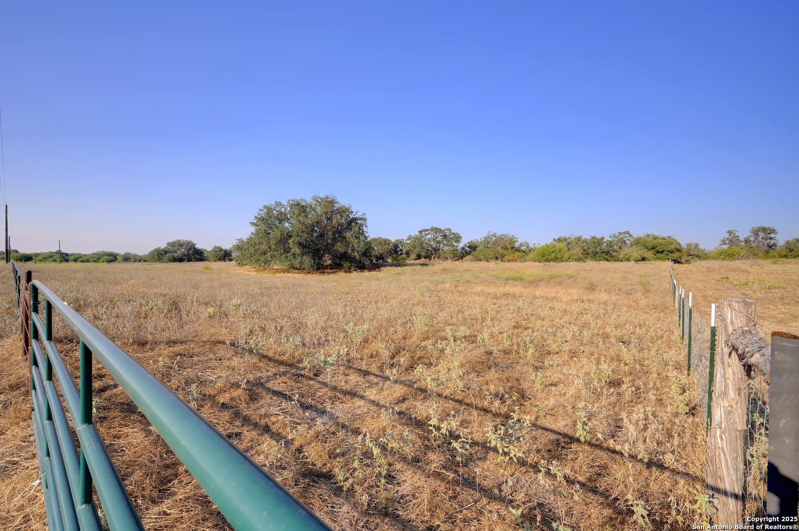 14.64 acres in Atascosa County - photo 12