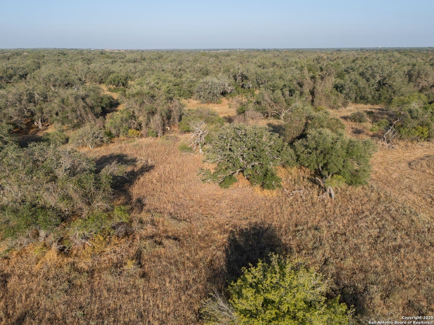 14.64 acres in Atascosa County - photo 30