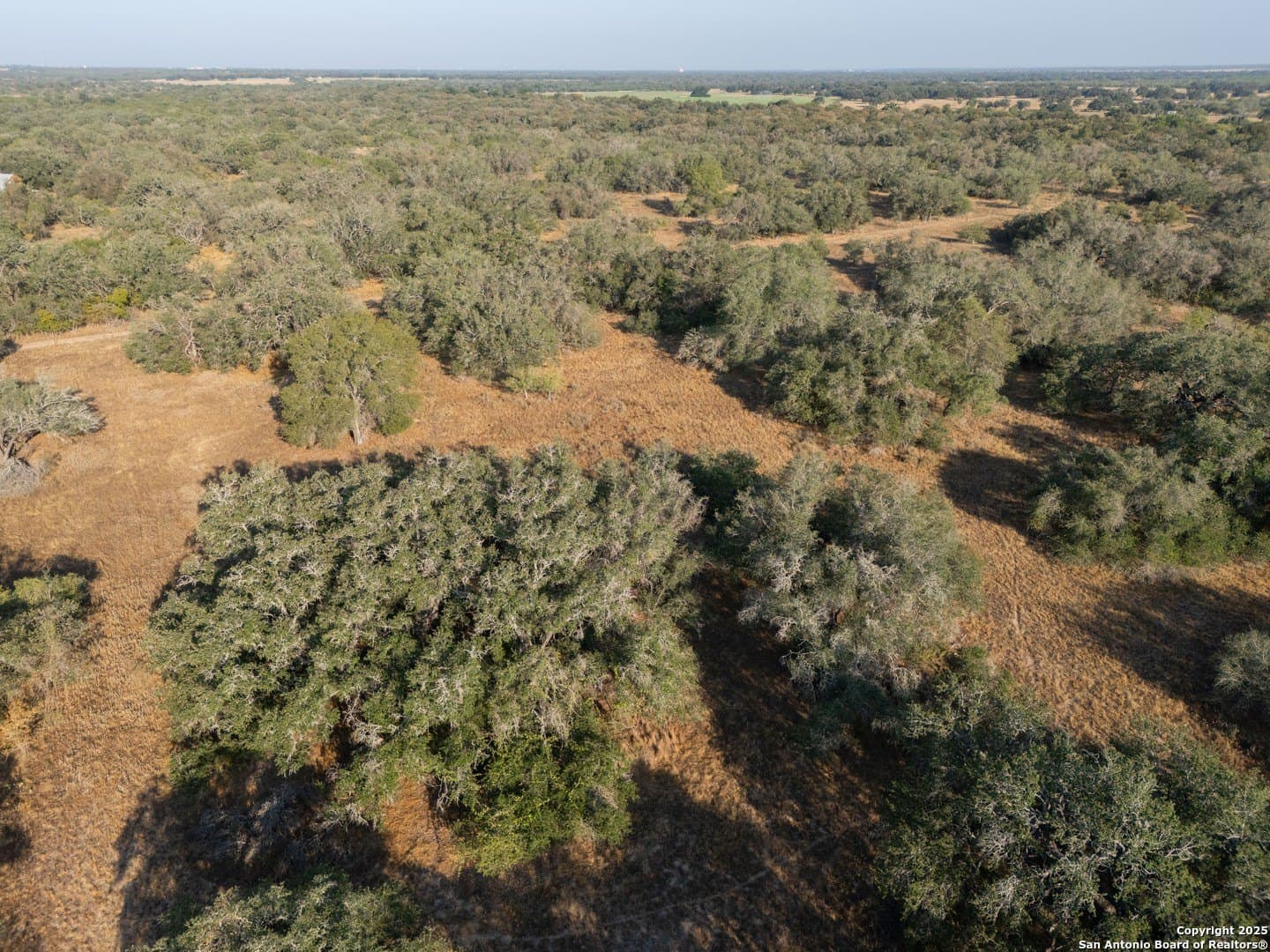 14.64 acres in Atascosa County - photo 26
