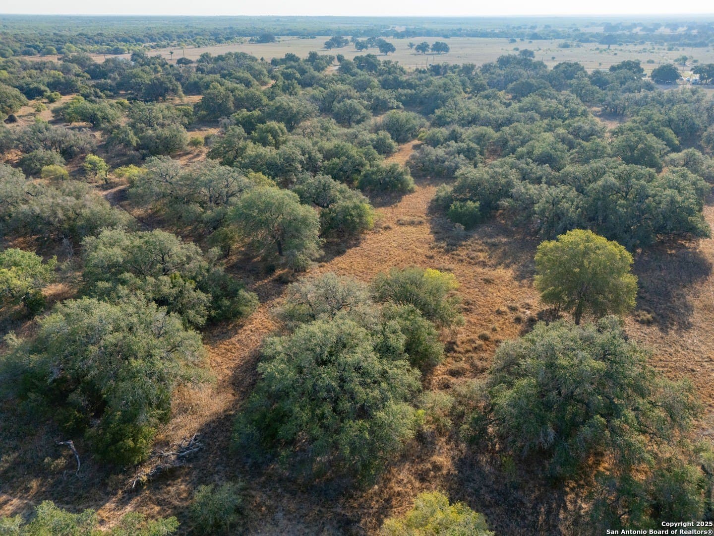 14.64 acres in Atascosa County - photo 25