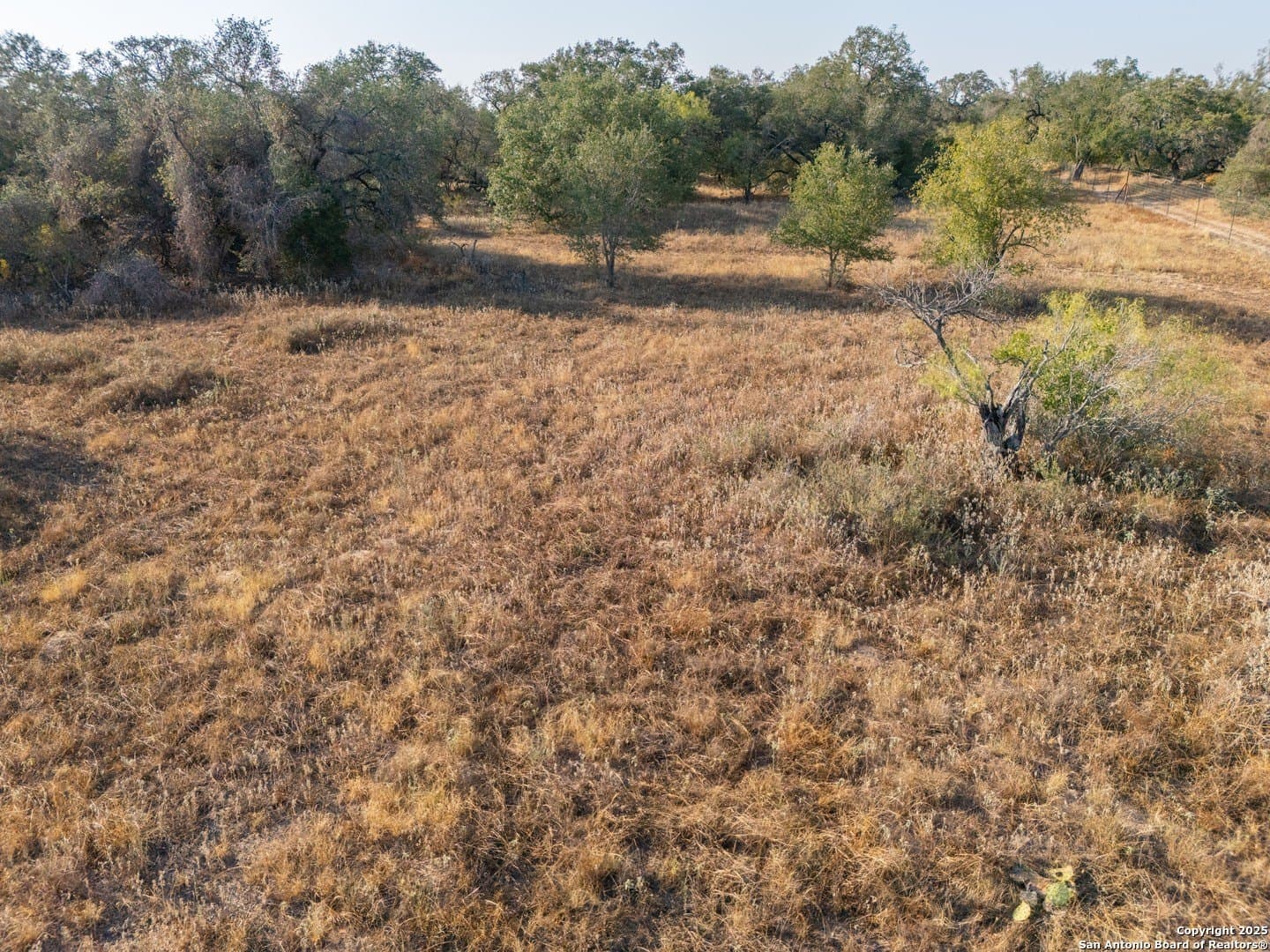 14.64 acres in Atascosa County - photo 39
