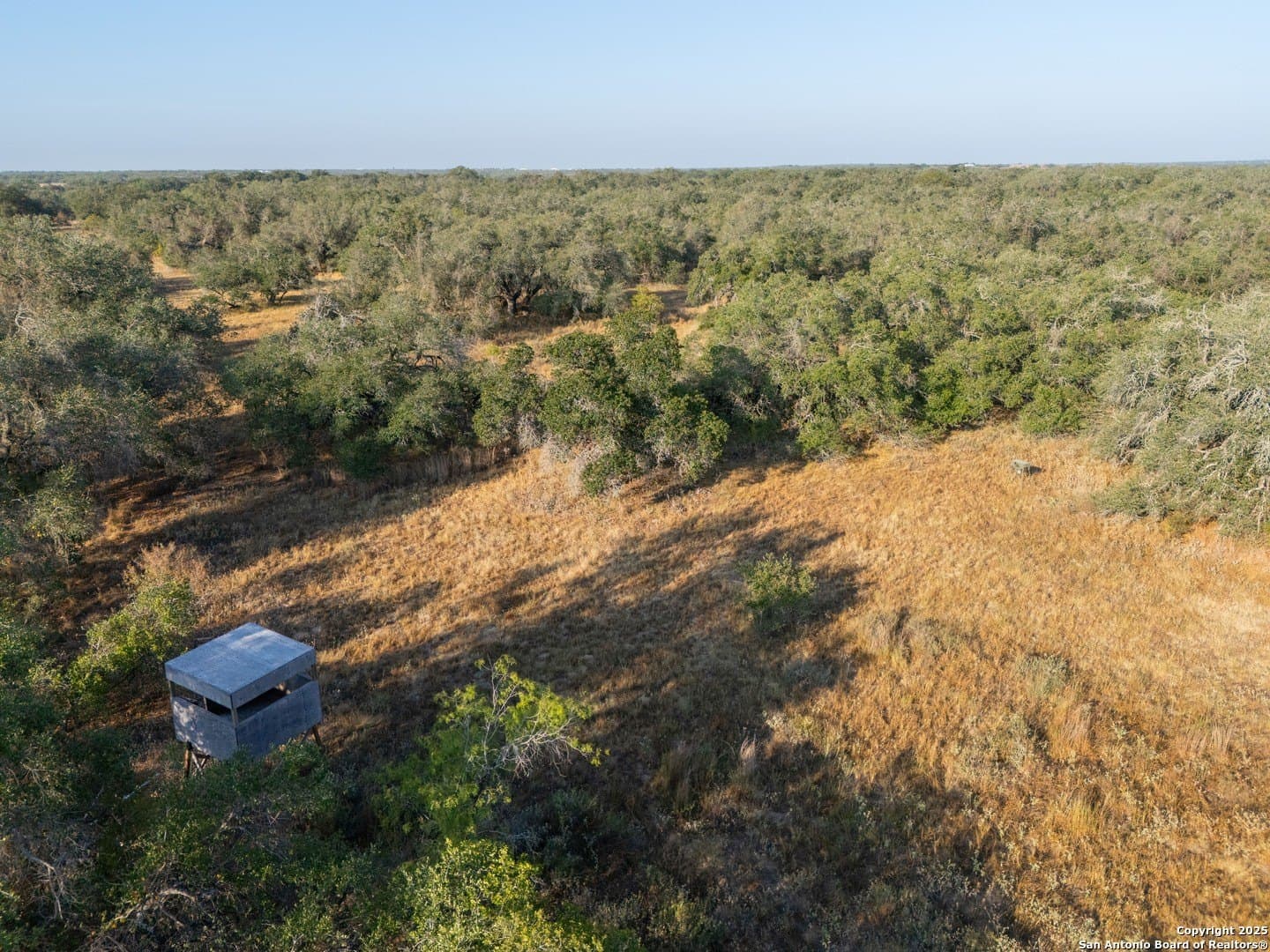 14.64 acres in Atascosa County - photo 36