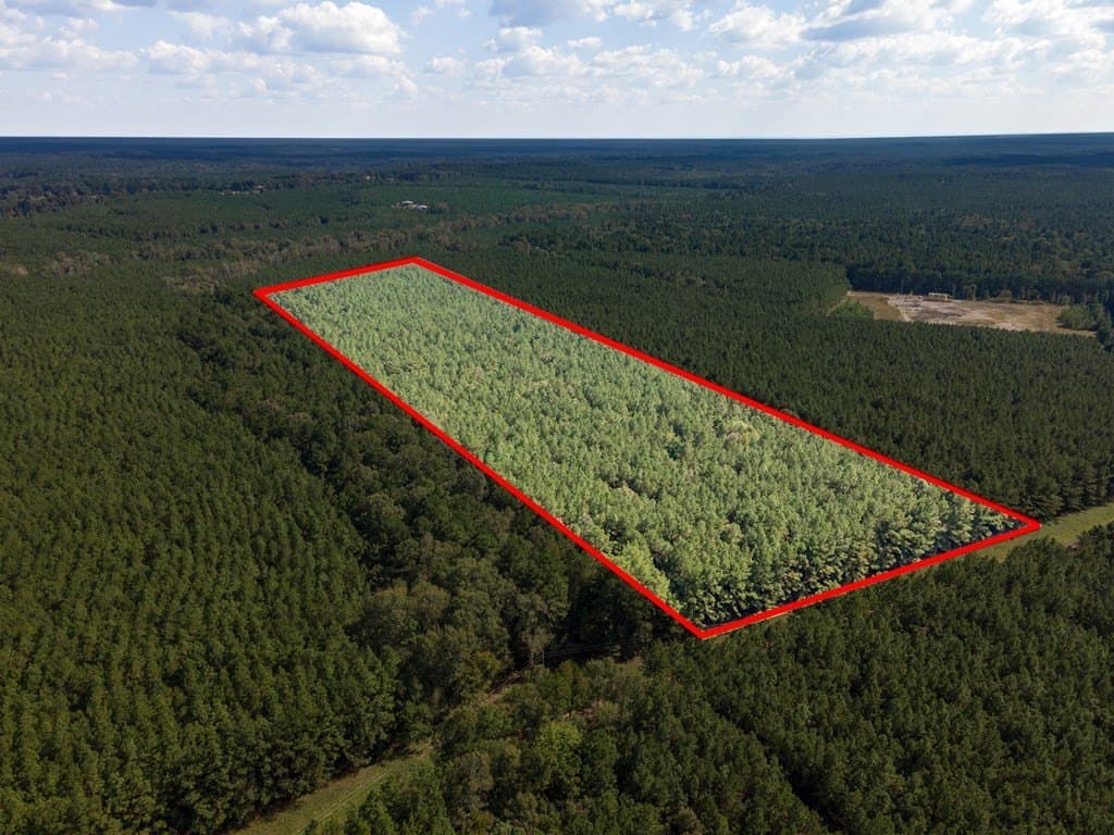 25 acres in Texas County - photo 5
