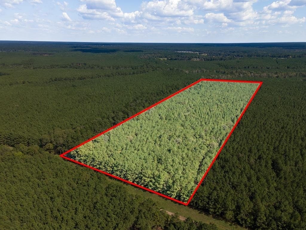 25 acres in Texas County - photo 2