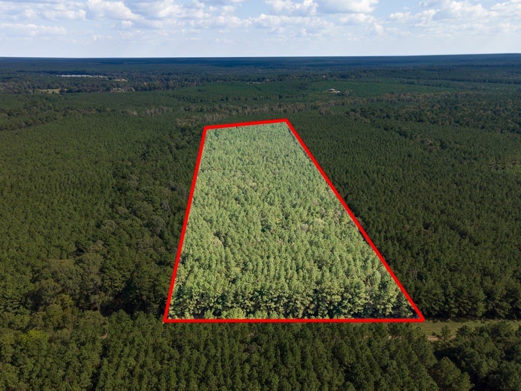 25 acres in Texas County - photo 4