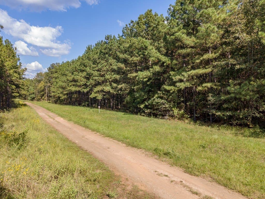 25 acres in Texas County - photo 3