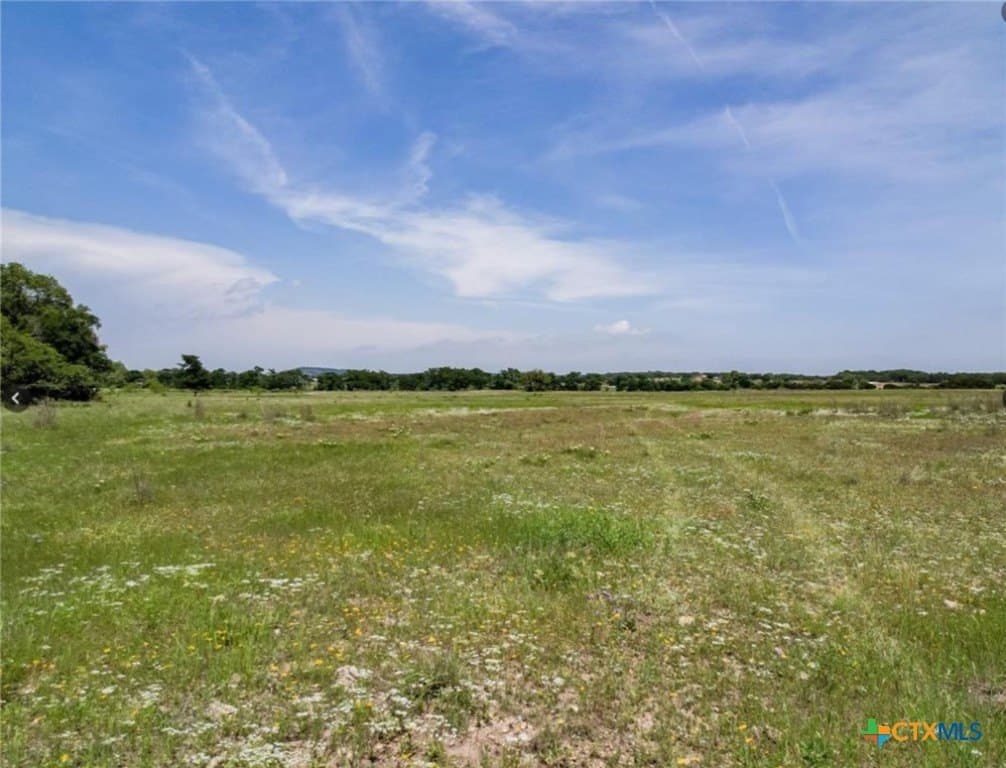 11 acres in Williamson County - photo 7