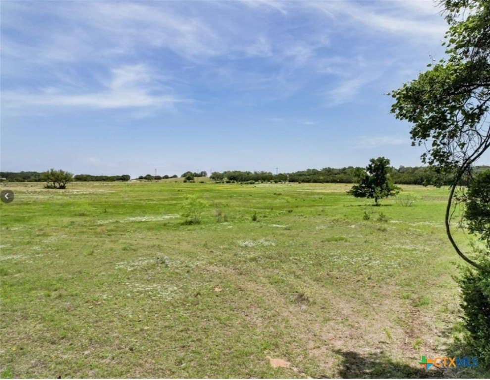 11 acres in Williamson County - photo 4