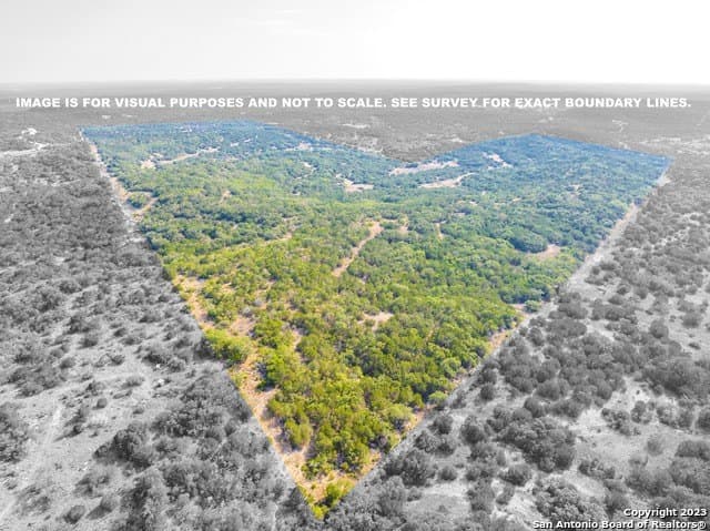 317 acres in Medina County - photo 13