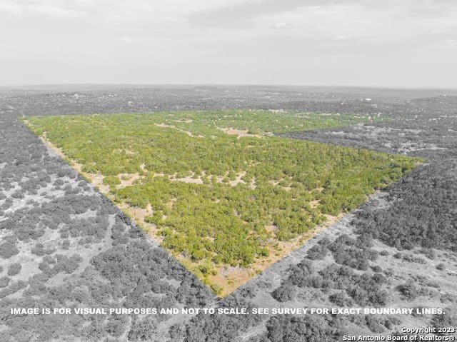 317 acres in Medina County - photo 11
