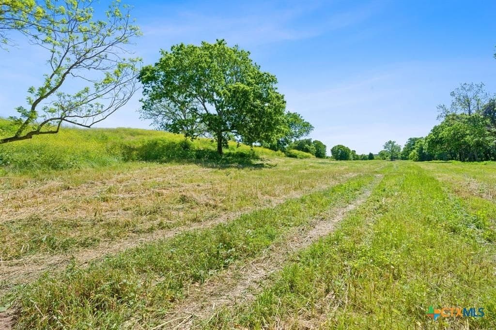48.41 acres in Bastrop County - photo 17