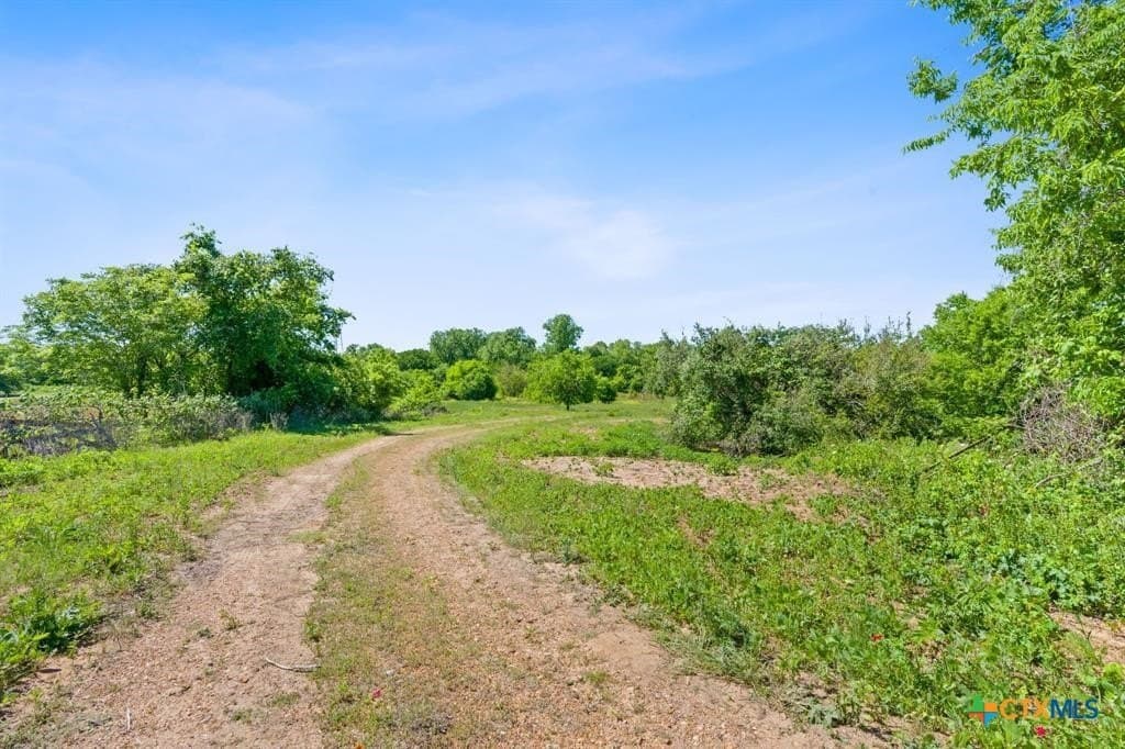 48.41 acres in Bastrop County - photo 14