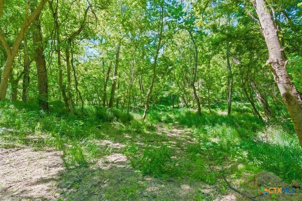 48.41 acres in Bastrop County - photo 15