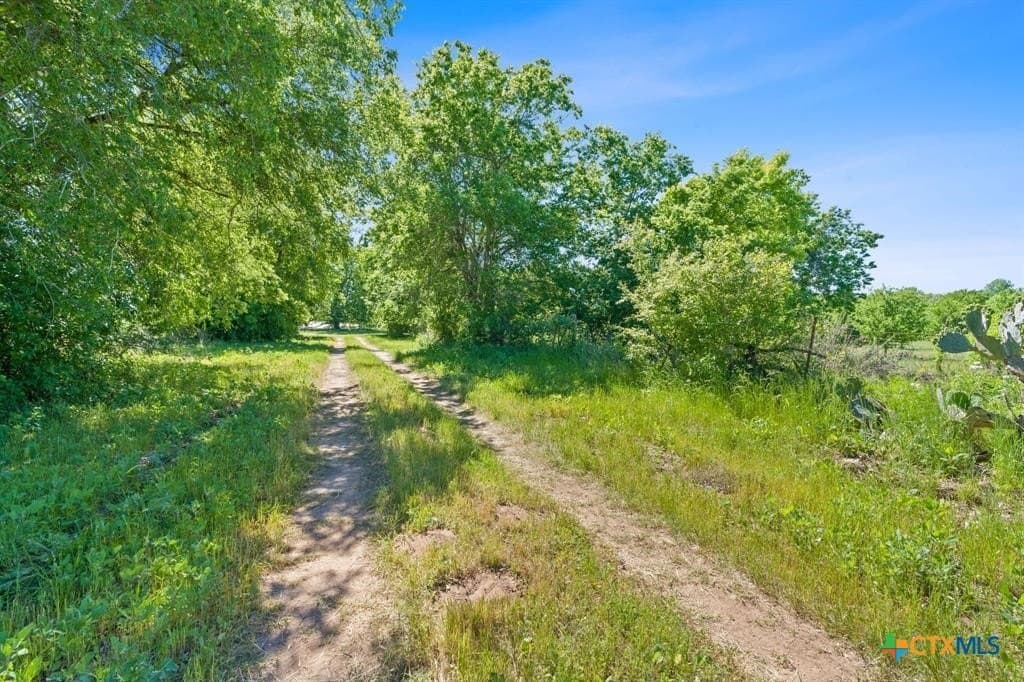 48.41 acres in Bastrop County - photo 23