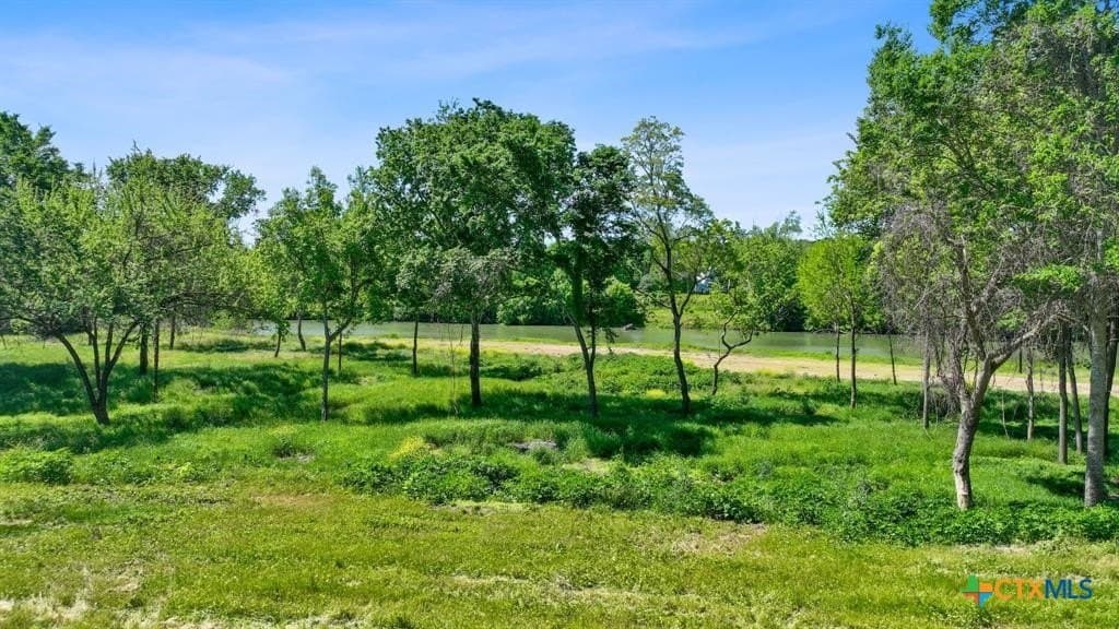 48.41 acres in Bastrop County - photo 27