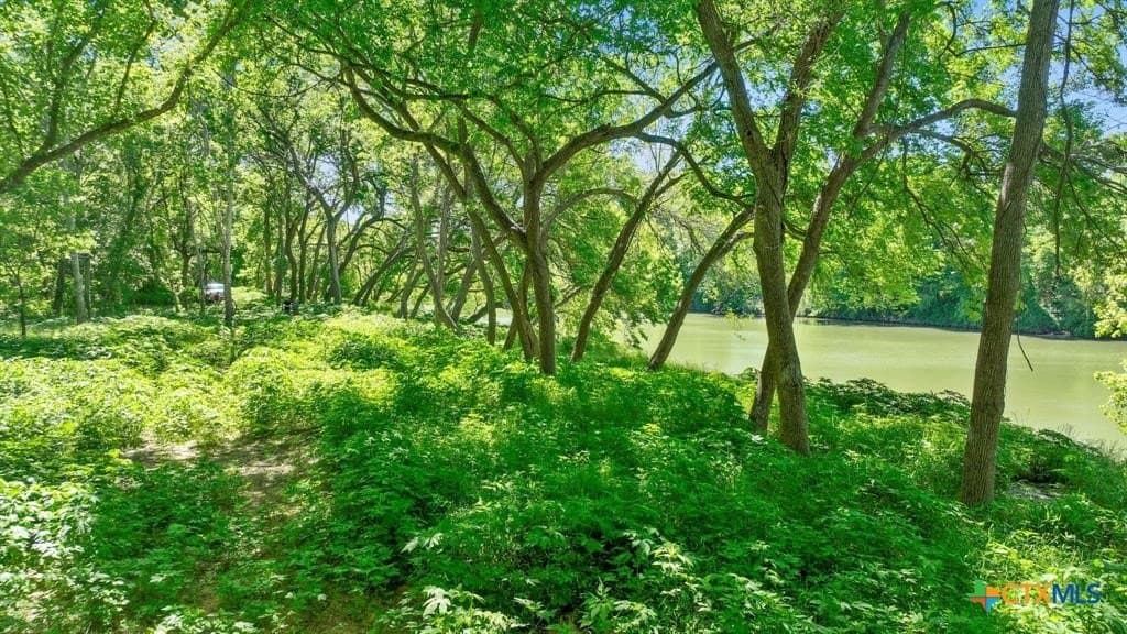 48.41 acres in Bastrop County - photo 6