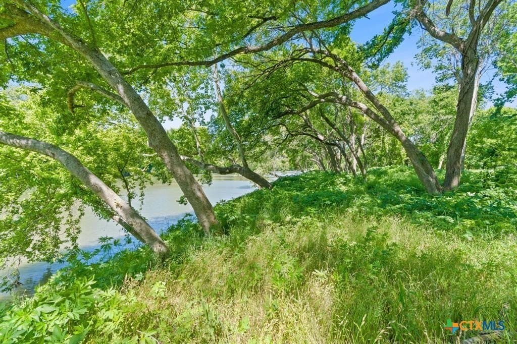 48.41 acres in Bastrop County - photo 8