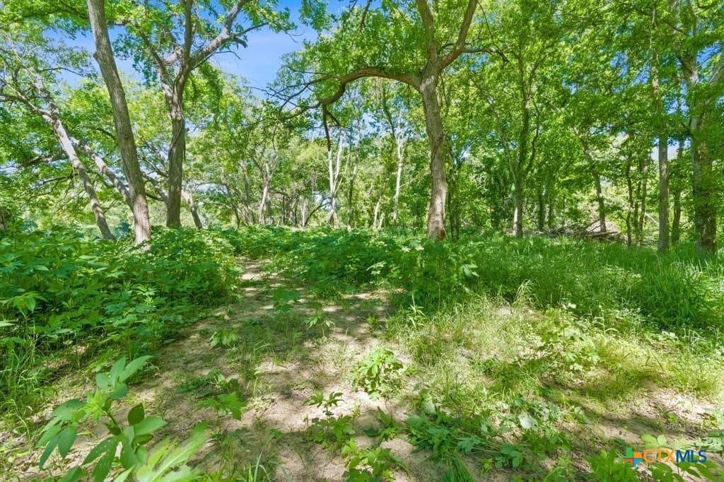 48.41 acres in Bastrop County - photo 5