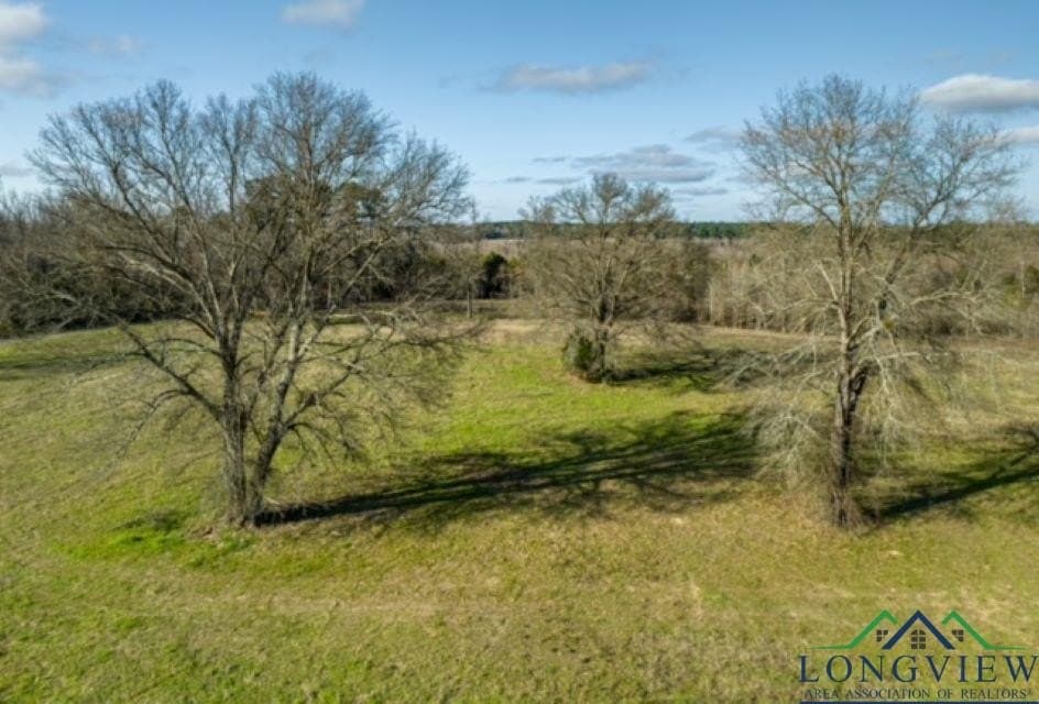 52.85 acres in Cass County - photo 14