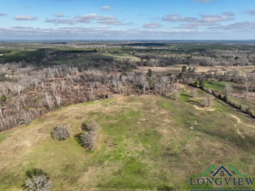 52.85 acres in Cass County - photo 2