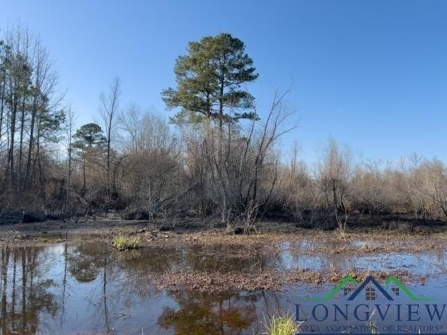 52.85 acres in Cass County - photo 22