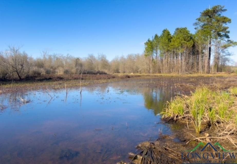 52.85 acres in Cass County - photo 19