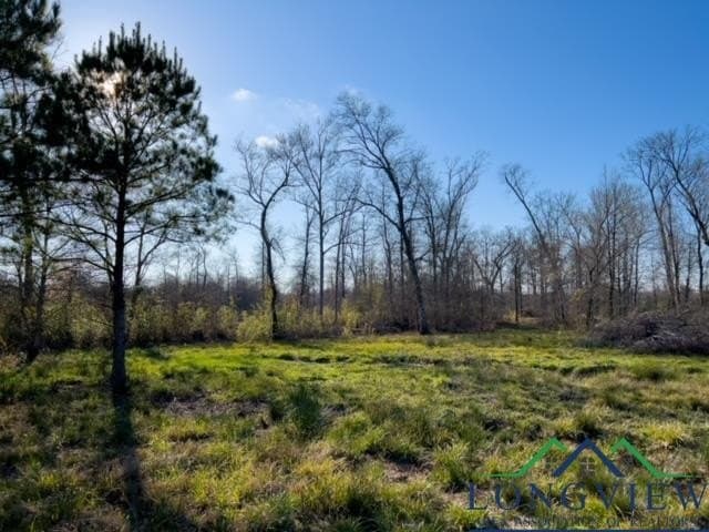 52.85 acres in Cass County - photo 28