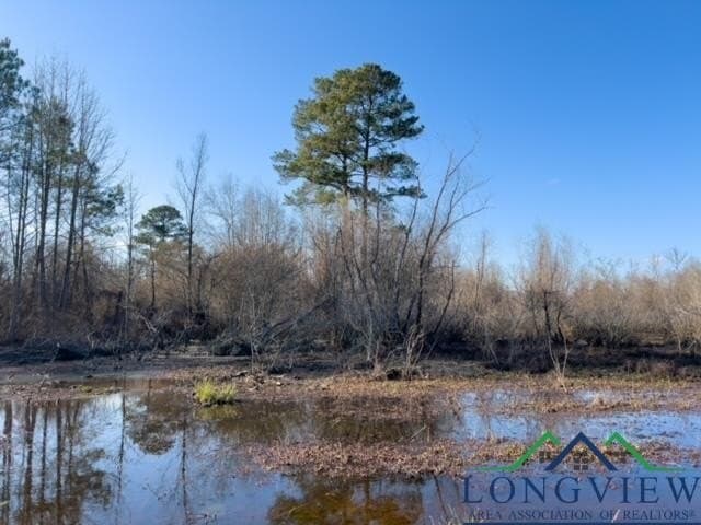52.85 acres in Cass County - photo 21