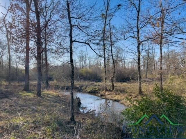 52.85 acres in Cass County - photo 32