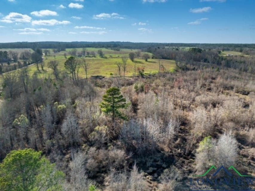 52.85 acres in Cass County - photo 9