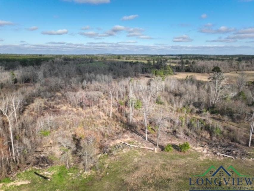 52.85 acres in Cass County - photo 4
