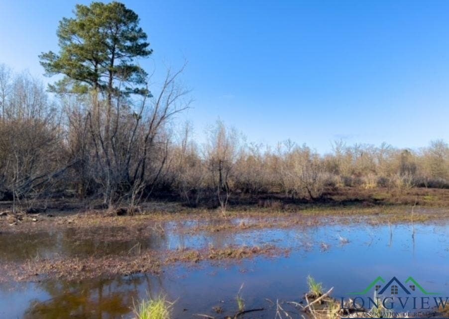 52.85 acres in Cass County - photo 23