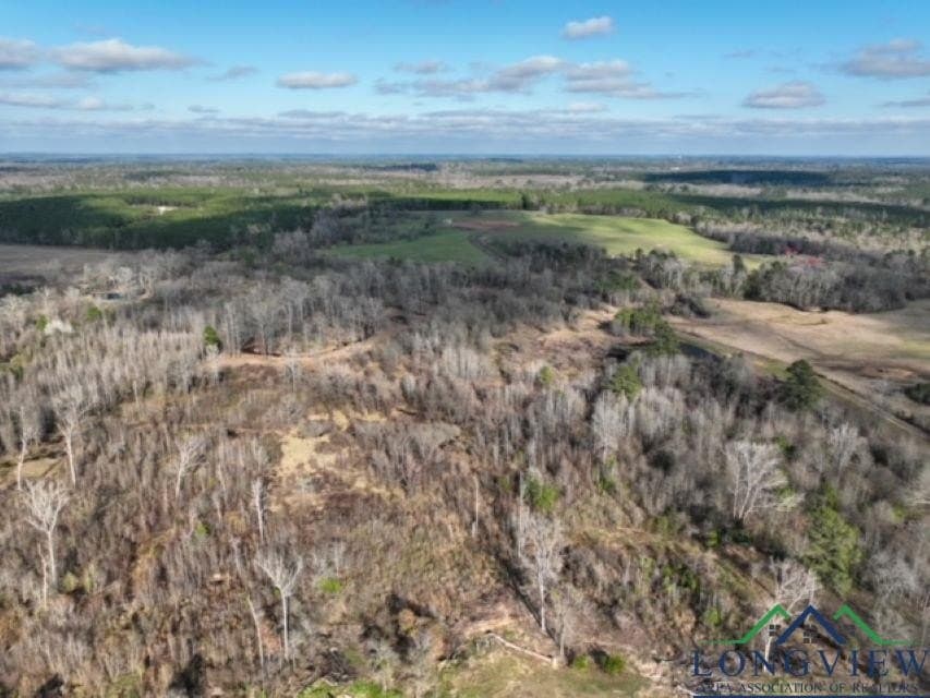 52.85 acres in Cass County - photo 3