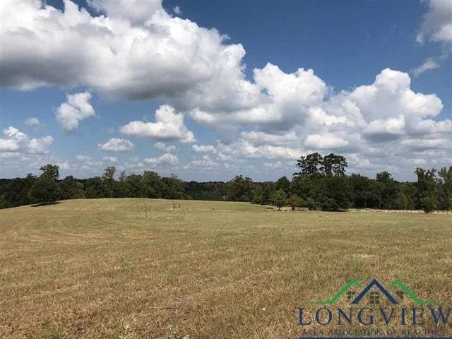 2.71 acres in Upshur County - photo 6