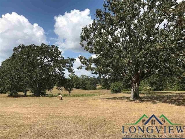 2.71 acres in Upshur County - photo 4