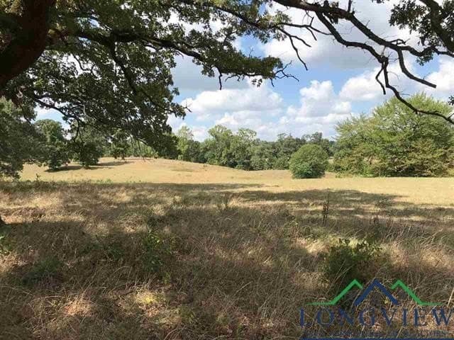 2.71 acres in Upshur County - photo 13