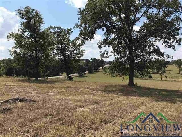 2.71 acres in Upshur County - photo 11