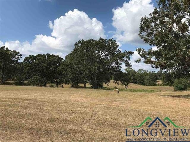 2.71 acres in Upshur County - photo 8